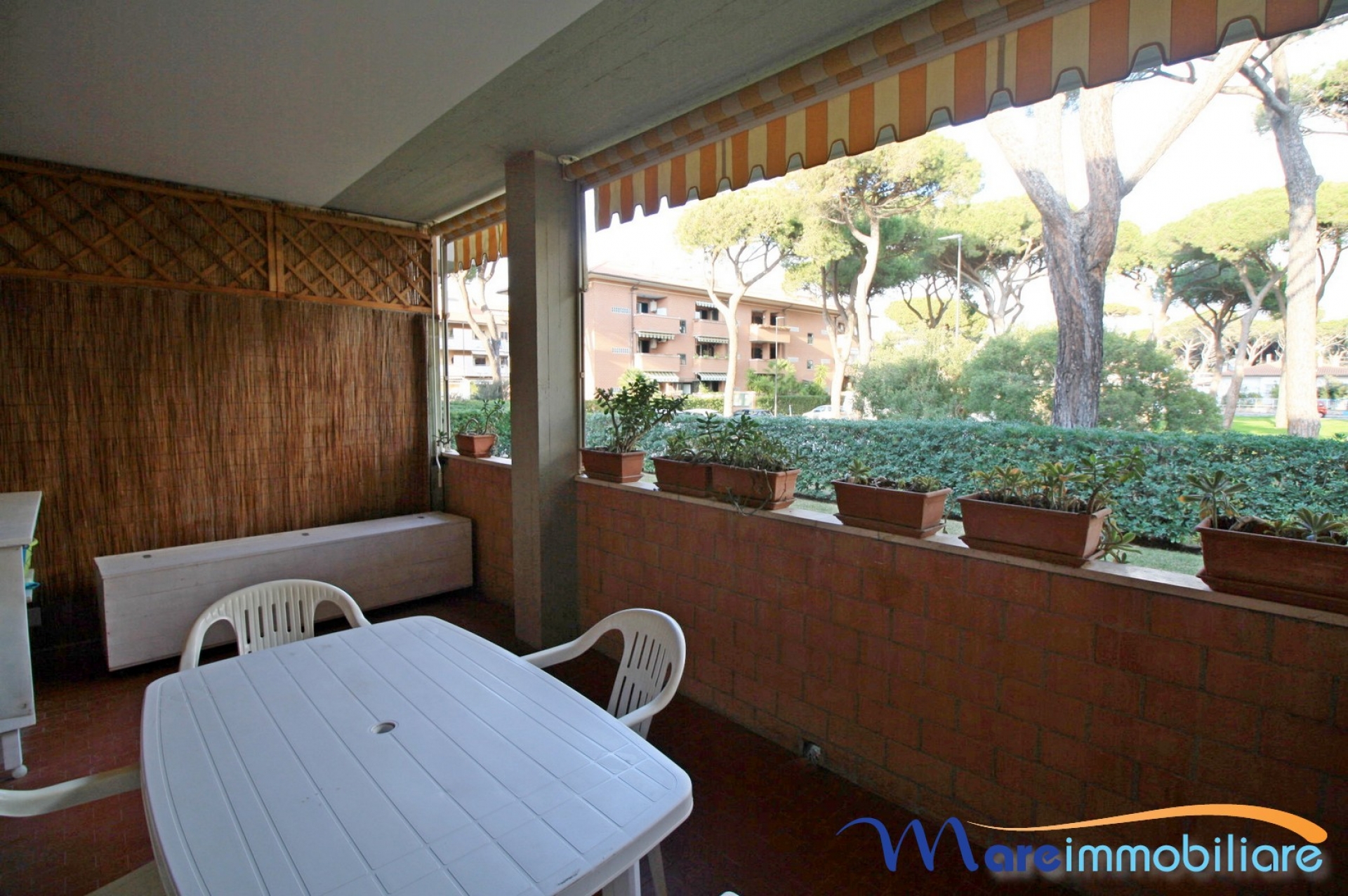 Zona Tombolo trilocale con veranda spaziosa