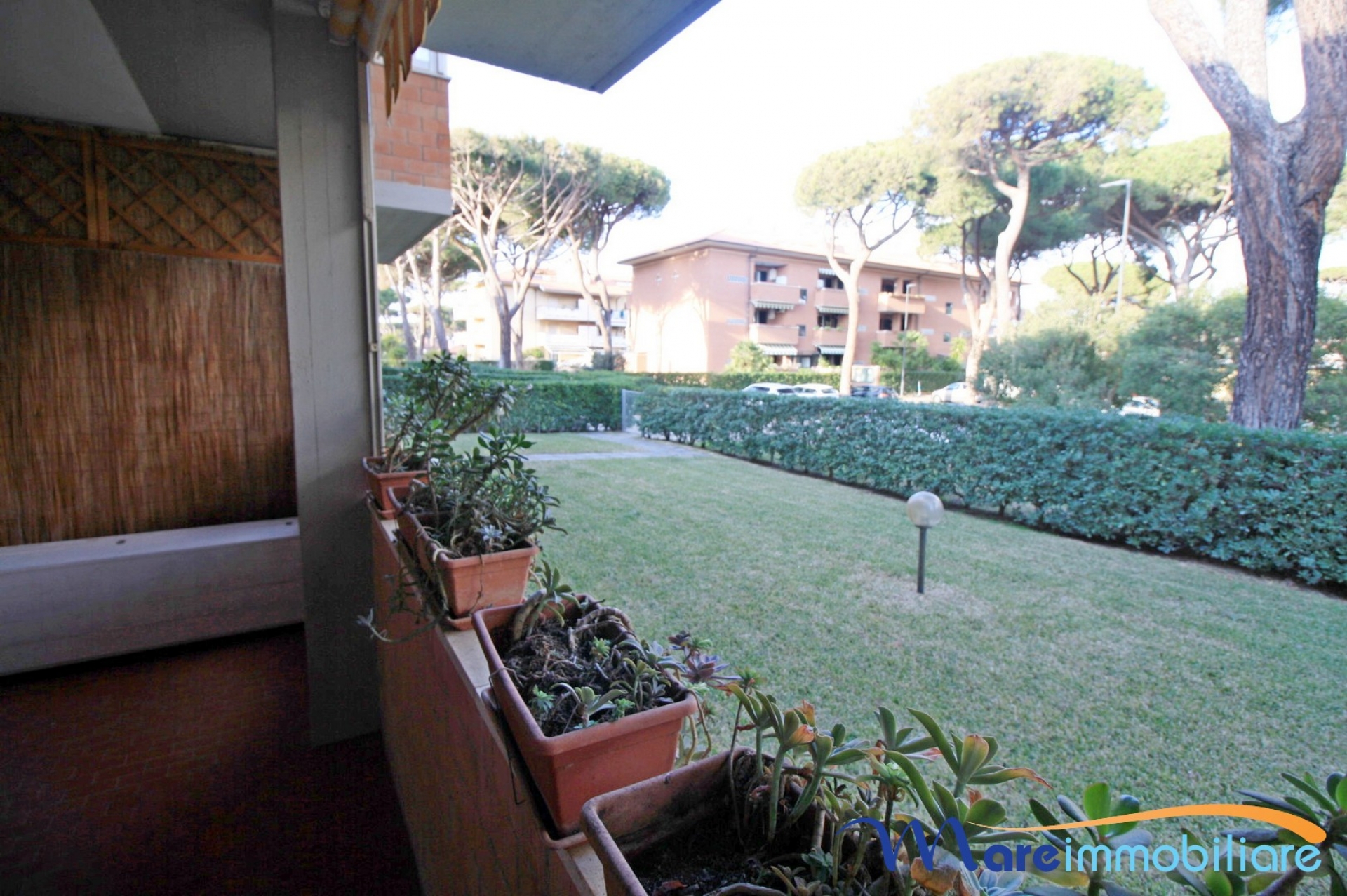 Zona Tombolo trilocale con veranda spaziosa