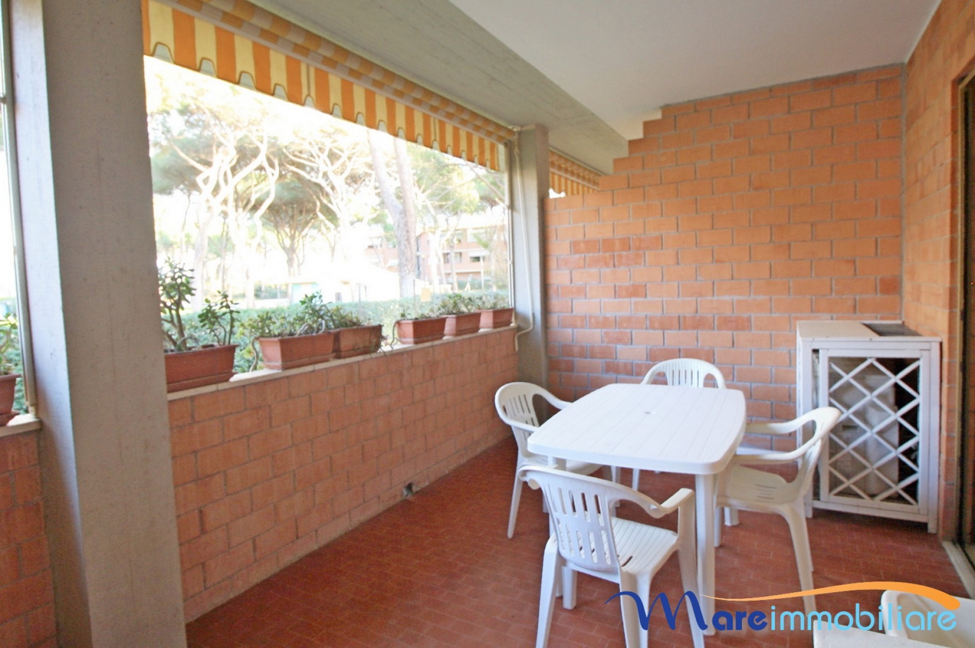 Zona Tombolo trilocale con veranda spaziosa